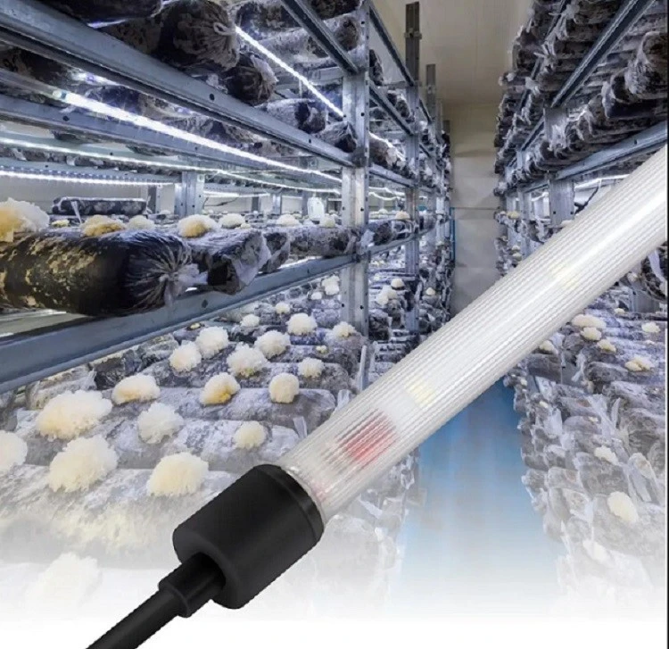 indoor plant tube grow lights
