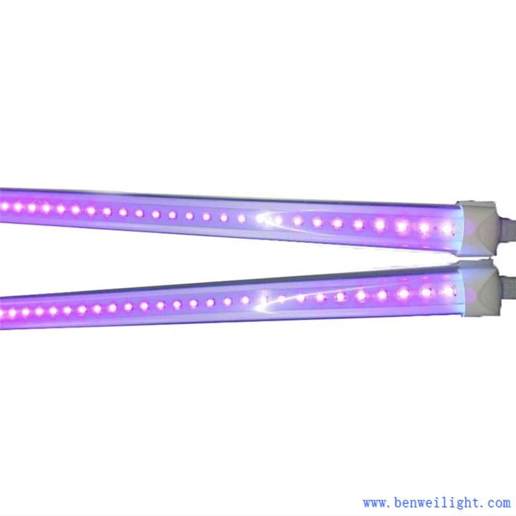 UV 2400 מ"מ צינור לד