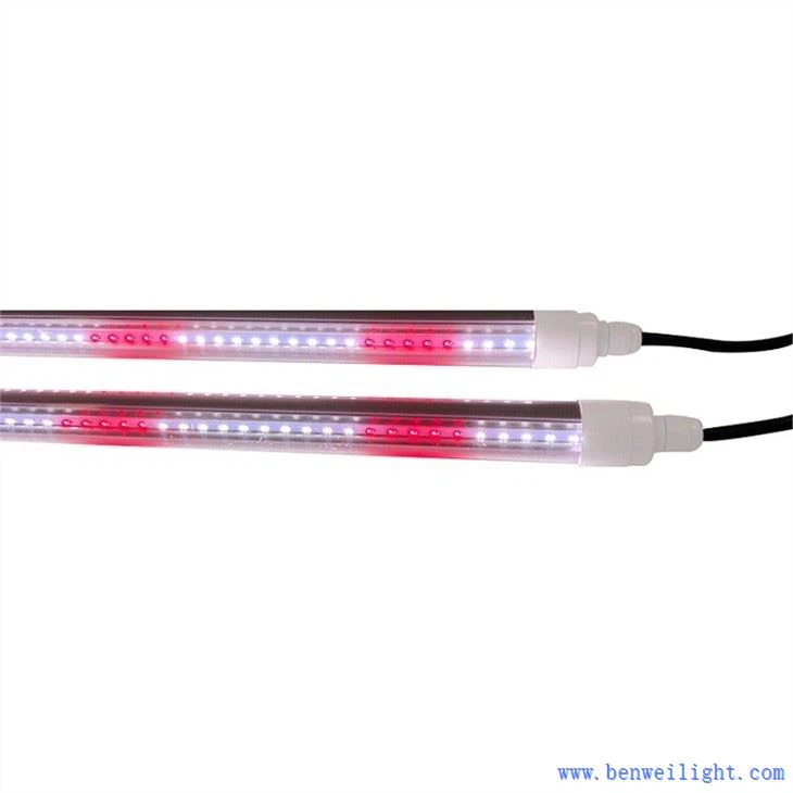 grow light led for seeds and greens