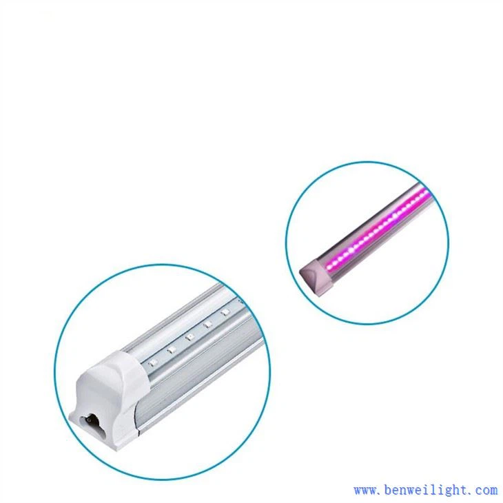 מד אור לגדל