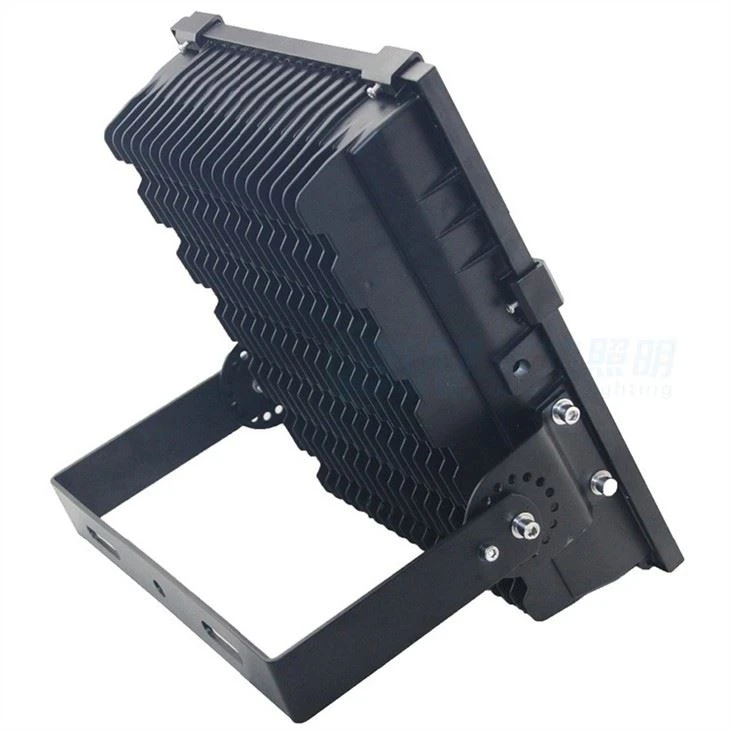 Motion Activated Security Light