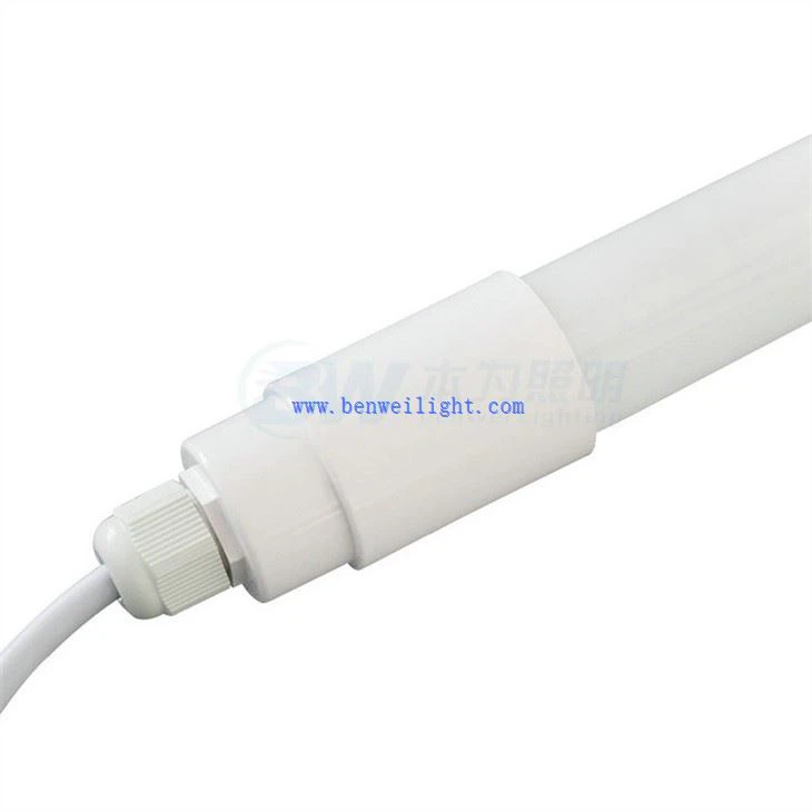 Brooder Light לאפרוחים