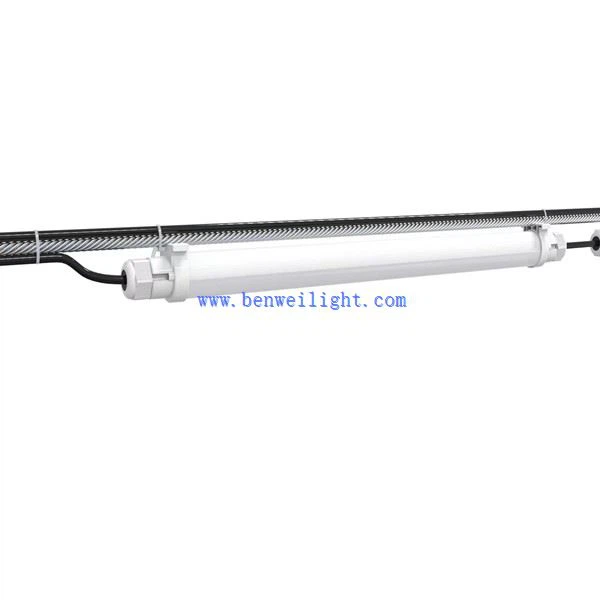 תאורת לד לגידול עופות וגידול חזירים