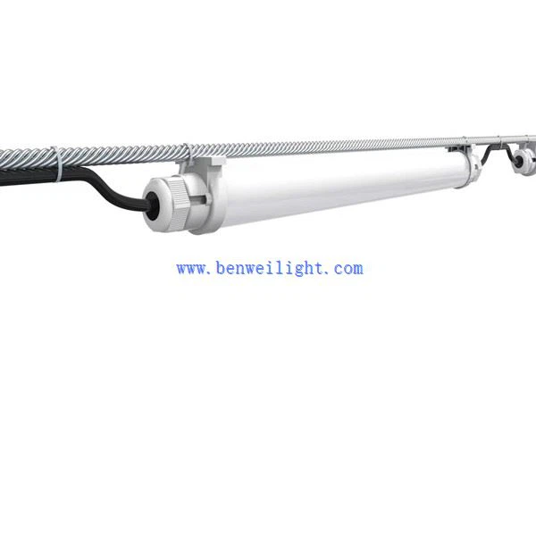 Energy Efficient Swine Lighting