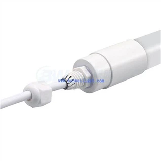 תאורה בשיכון פרות