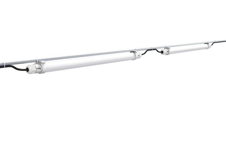 lighting program for broiler chickens