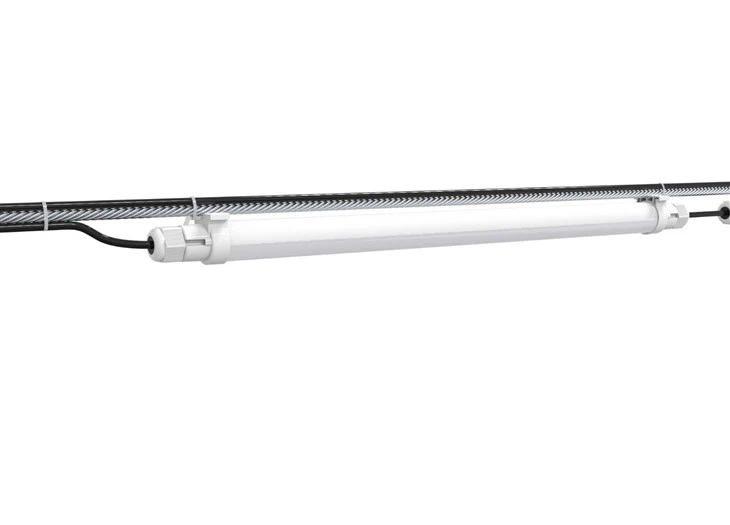 poultry house lighting systems