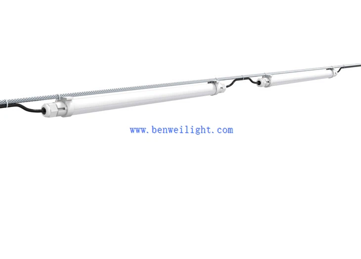 lighting program for broiler chickens