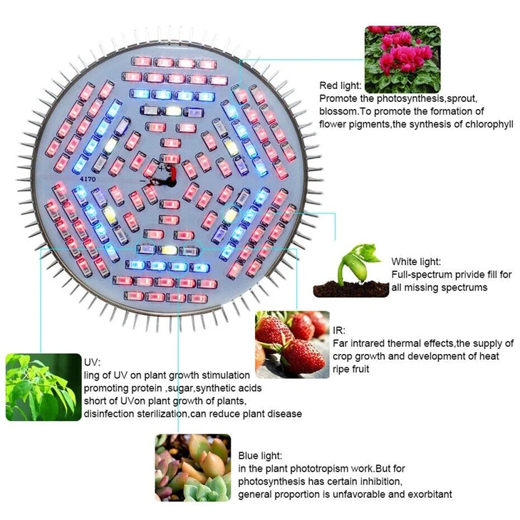 4W Led Grow Light detail
