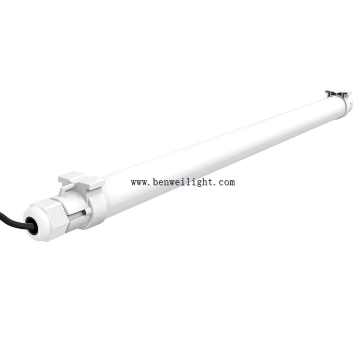 צינור אור LED של ביצת עוף