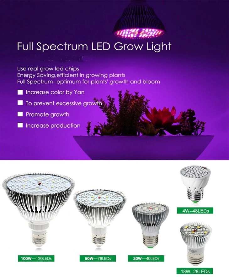 נורת LED Grow Light עם ספקטרום מלא