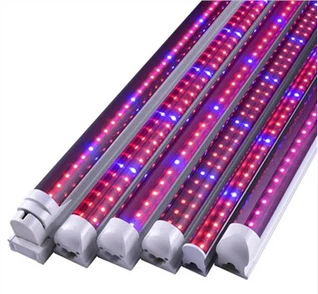 חקלאות צינור אור LED לפטריות