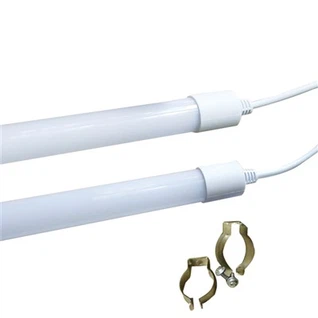 לול תרנגולות לד אור