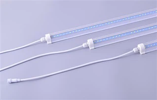 אורות לד לגידול פטריות