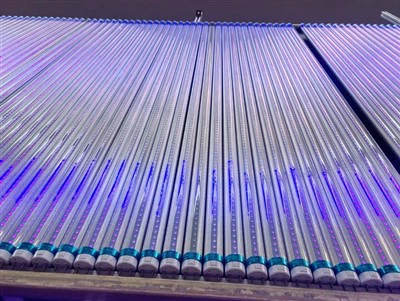 צינור LED UV-365 ננומטר