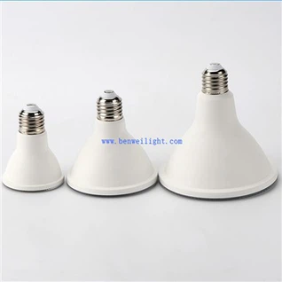 נורת LED PAR30