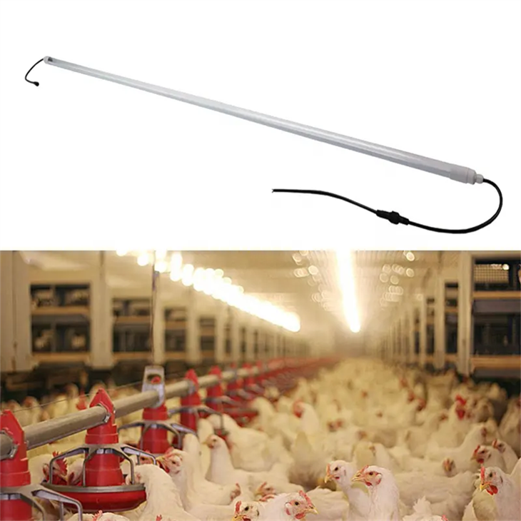 Ip65 IP67 עמיד למים T5 T8 Led ניתן לעמעום צינור מלא ספקטרום תאורת עופות