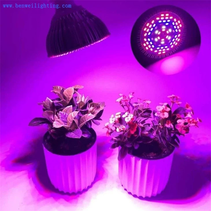 led grow lights for indoor plants