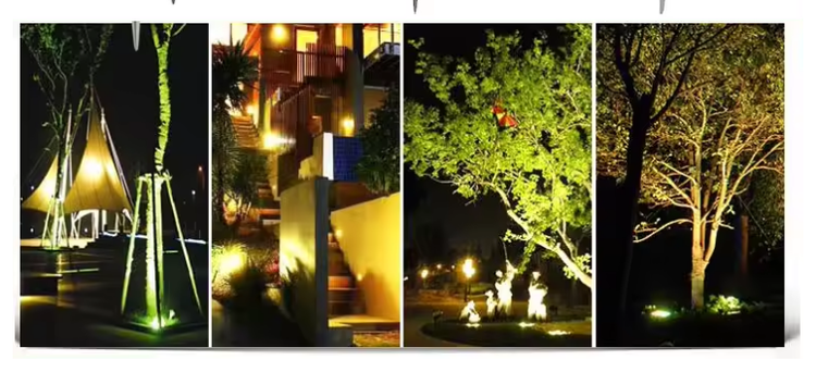 application application