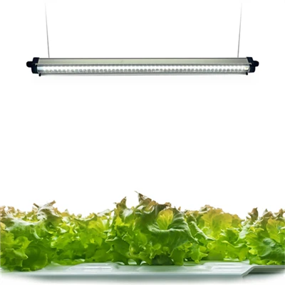 240 נוריות LED בספקטרום מלא של רצועות אור לצמחים עם טיימר הפעלה/כיבוי אוטומטי 3/9/12 שעות