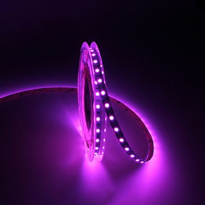 עמיד למים High CRI 95+ 5050 12V LED Strip Light