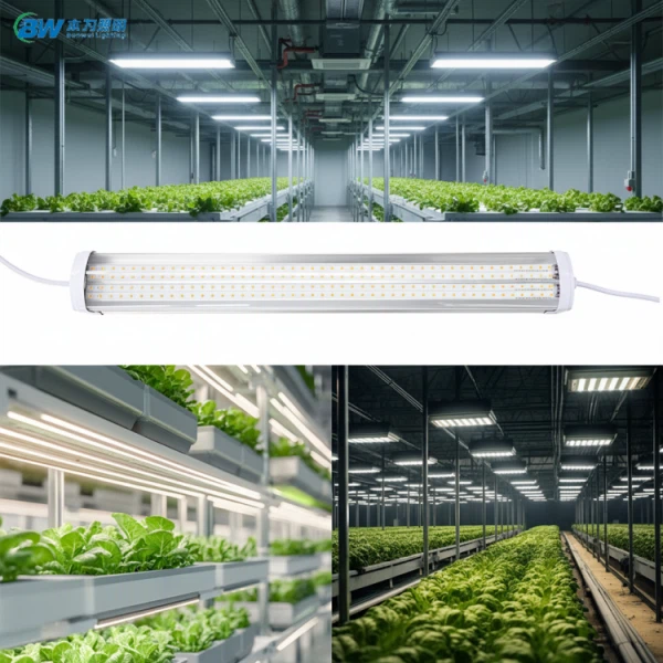 T20 לעמעום ירקות Led Grow ליניארי לקישור IP65 אור 20-88W